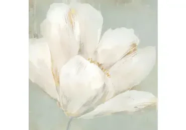Rose 4